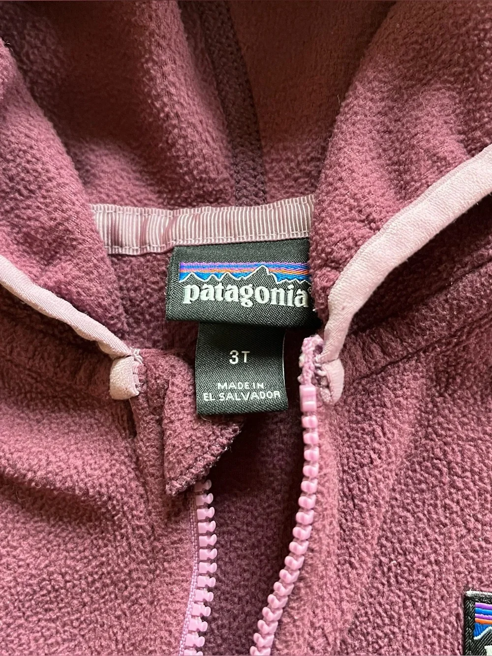 Patagonia Baby Micro D jacket